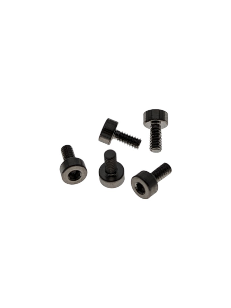 Phaetus XG śruba tytanowa M2 x 0.4-6