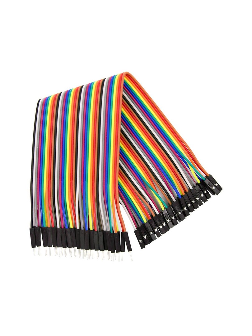 ProRock Dupont Line 40 Pin 20cm 24AWG