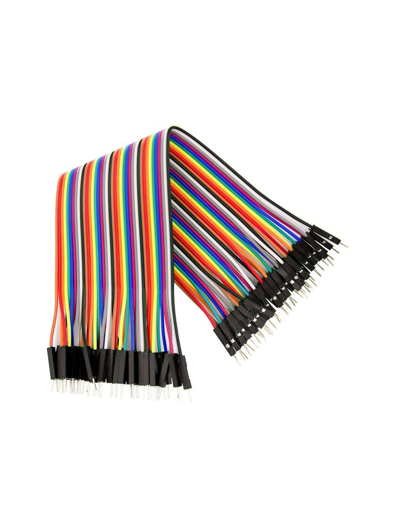 ProRock Dupont Line 40 Pin 20cm 24AWG