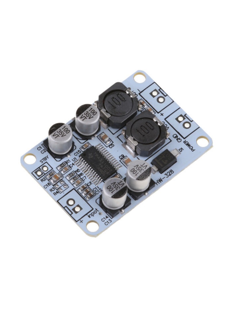 ProRock TPA3110 PBTL Mono Class-D Amplifier 1X30W