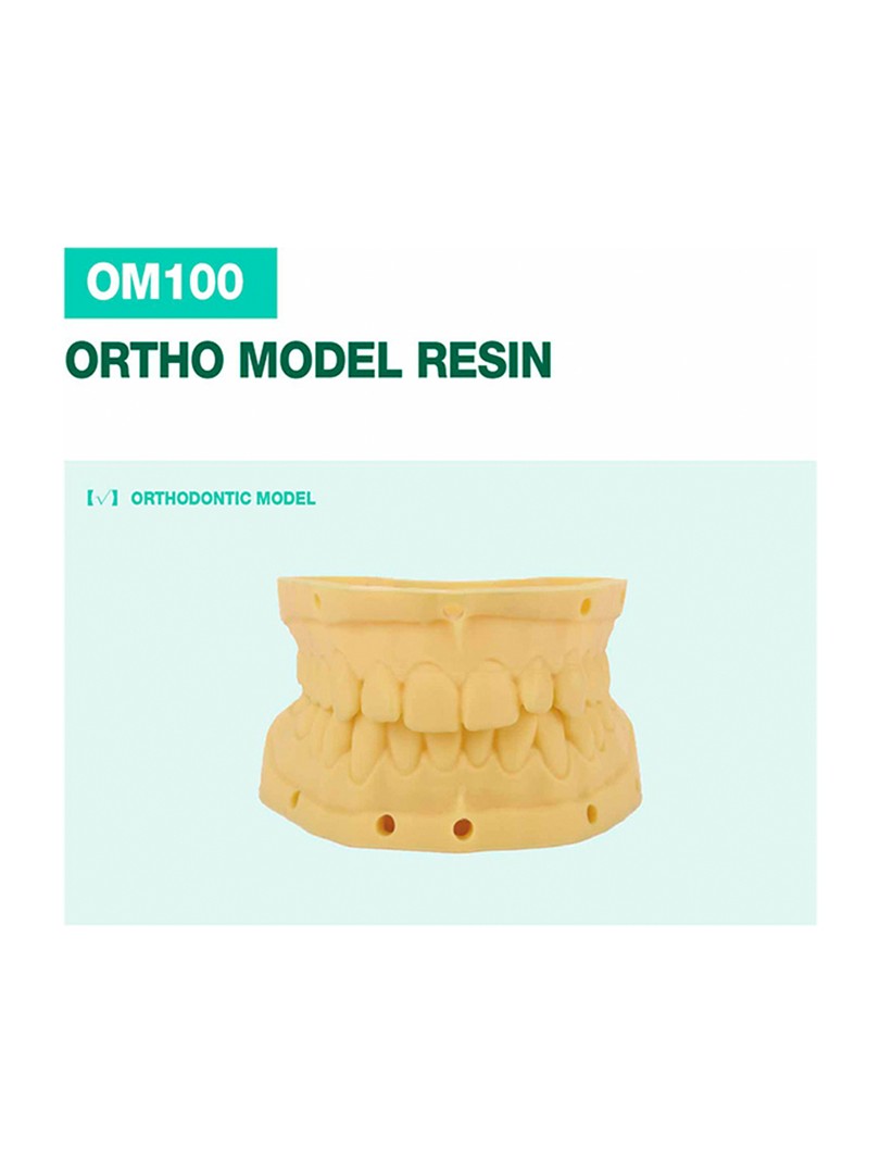 OM100 Ortho Model Resin White