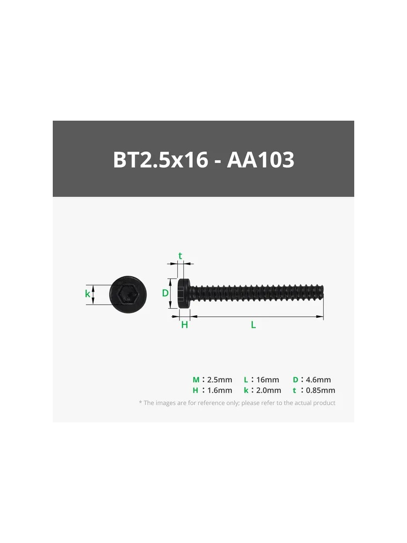 BT2.5x16 SHCS